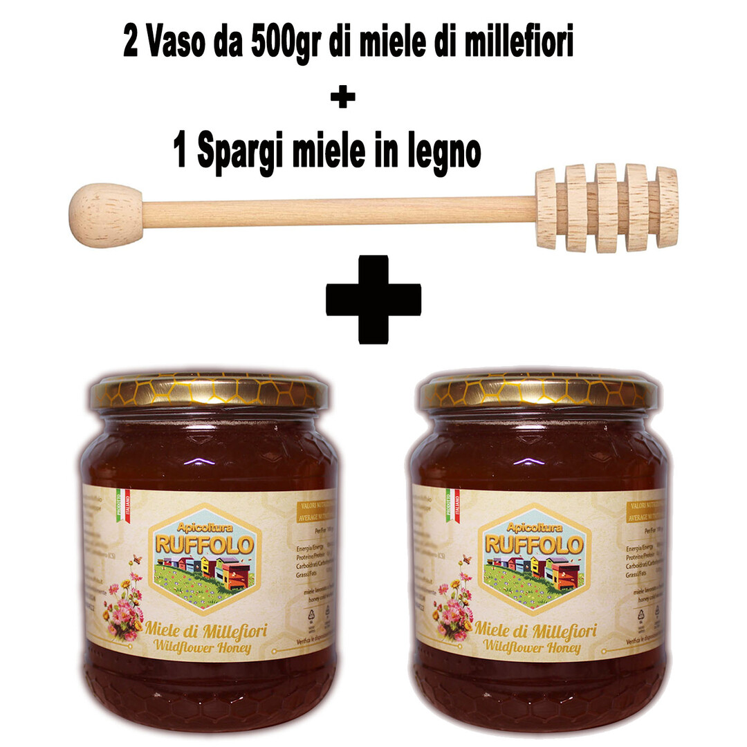 Kit 02 Spargi Miele legno con 2 vasi Millefiori 500g